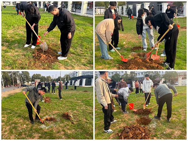 1710290750398752.jpg 2.jpg